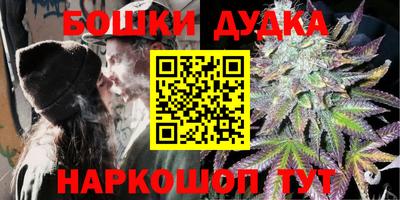 сатива Можга