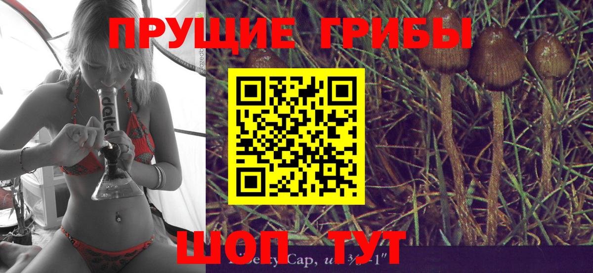 Псилоцибиновые грибы MAGIC MUSHROOMS Алапаевск
